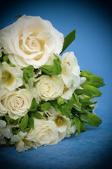 White roses on dark blue background