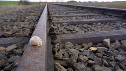 Schneckenhaus auf Bahngleise - Symbolfoto