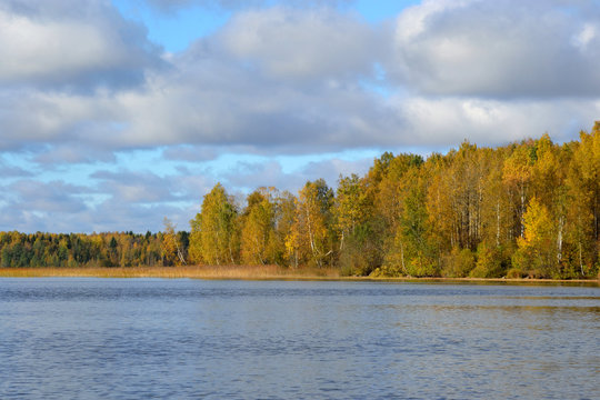 Autumn forest on the lake at morning.