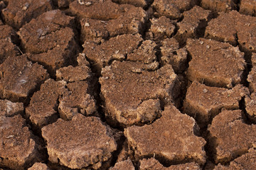Dry cracked earth background