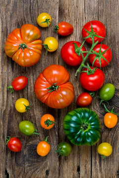unique colorful ripe tomatoes on wooden background.