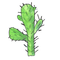 light green cactus cartoon watercolor isolated