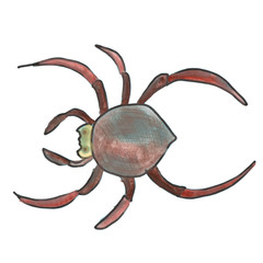 red spider cartoon watercolor isolated