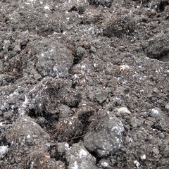 Fresh soil background closeup