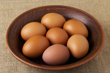 the brown chicken eggs