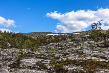 Wanderung im Pyhä-Luosto National Park - Finnland 