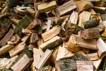 Pile of cut logs for burning