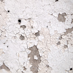 Grunge cement wall