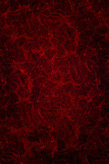 Abstract dark red background with floral patterns.