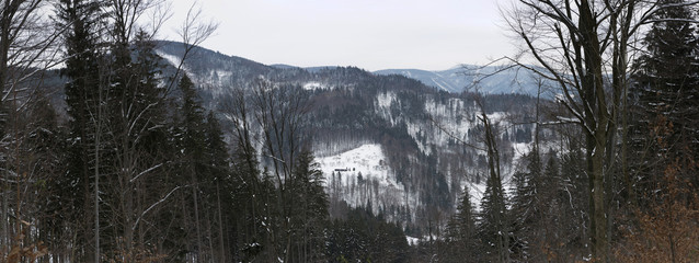 panorama winter landscape with trees, hills and panorama winter landscape with trees, hills and snow

