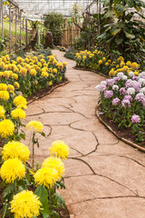  walkway in garden