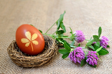  Easter egg naturally dyed  with onion skins. Easter egg in nest and red clovers 