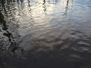 Lake water surface