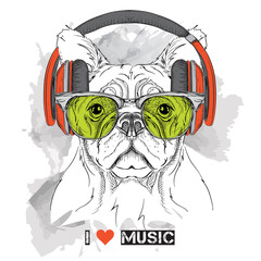 Dog in glasses and headphones. Vector illustration. - 104119733