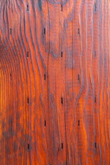Obraz premium Wood grain bark texture