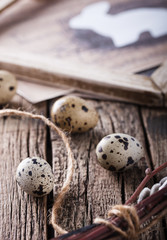 Quail eggs and willow,a rabbit in wooden frame,the symbol of Easter on the aged wooden background.selective focus