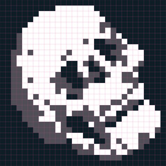 Skull collected from pixels.