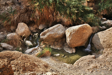 Ein Gedi national park. Israel