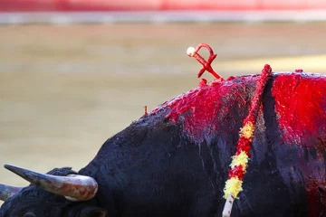 Tuinposter Spanish bullfight © bykofoto