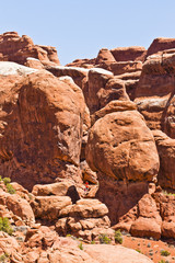 Fototapeta na wymiar sandstone formations of the moab desert