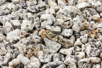 grasshopper with a camouflage like the ground