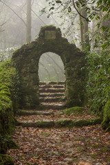 mysterious entrance on a foggy florest