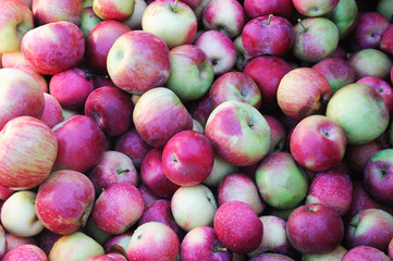 fresh harvest apple background