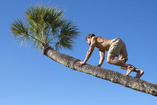 Muscular man climbing trunk of palm tree