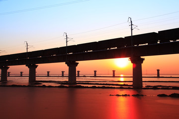 Fototapeta na wymiar Railway bridge on the sea