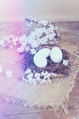 White Easter eggs in nest and pink spring flowers