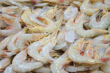 Banana shrimp with ice in thai market