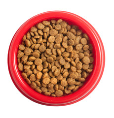 at food isolated on white.