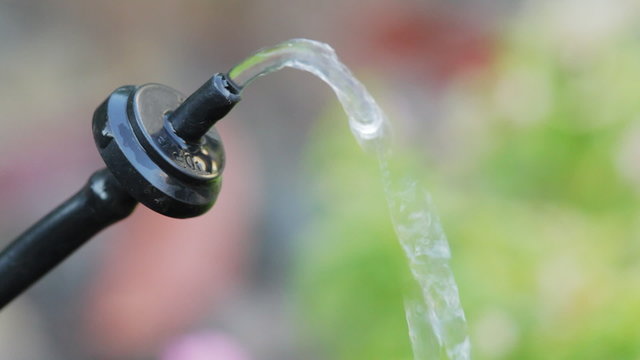 Closeup of a watering system dripper (emitter) suspended in mid-air, dripping water. Very shallow focus on emitter.