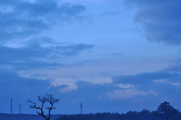 富士山　夜明け　空　雲