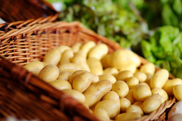 Fresh bio potatoes on farmer agricultural market