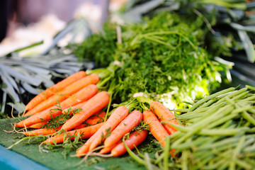 Fresh healthy bio carrots