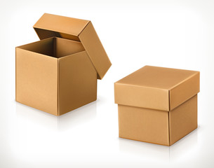 Cardboard box, vector