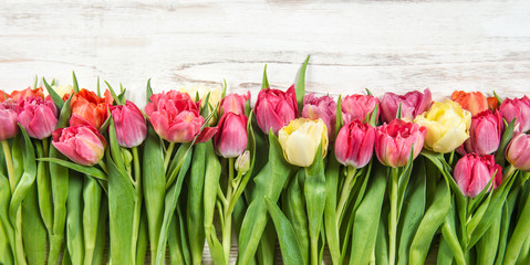 Bouquet of fresh tulips. Spring flowers