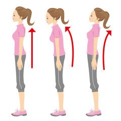 姿勢　イラスト