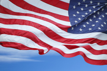 Obraz premium Fluttering Flag