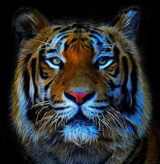Digital illustration of a bengal tiger