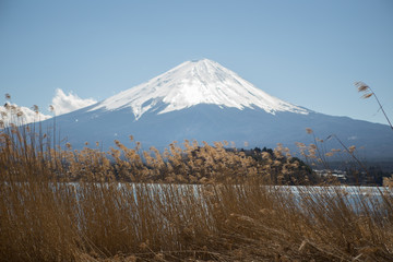 Fototapeta na wymiar fuji mountain in clear sky day view from Kawaguchiko lake