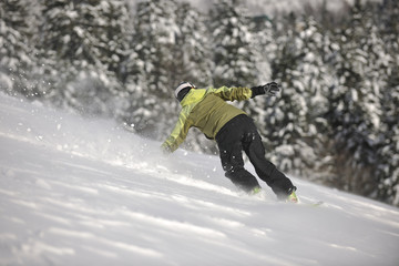 snowboarder woman enjoy freeride on fresh powder snow