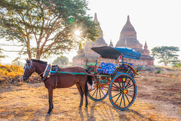 horse carriage for   Ancient Temples tour in Bagan, Myanmar