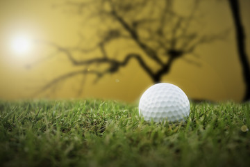 golf-ball on course