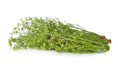 neem leaves and blossom (Sa-dao, Thai text) with stem on white b