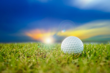 golf-ball on course