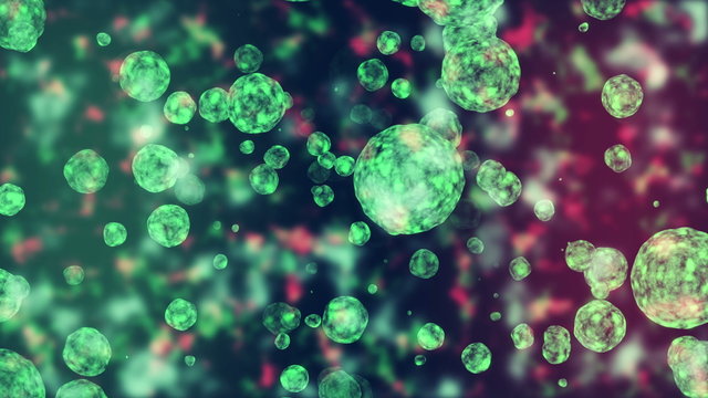 virus attack the leukocyte, viruses attacking cells or bacterias under microscope full hd and 4k. Medical Concept.