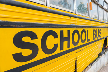 Yellow school bus park on floor