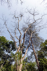 Sunset on villages in Vietnam